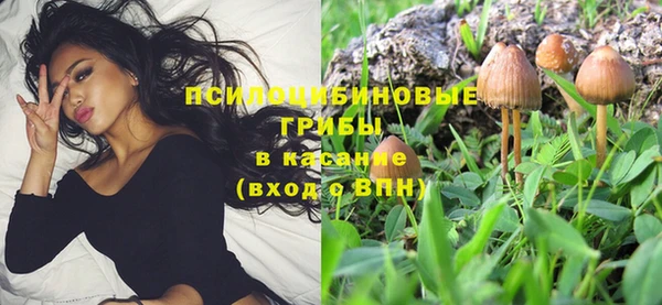 твердый Остров