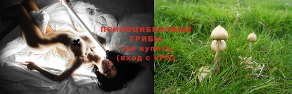 ГАЛЛЮЦИНОГЕННЫЕ ГРИБЫ Нязепетровск