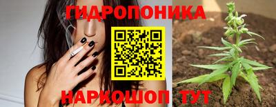 стафф Донецк
