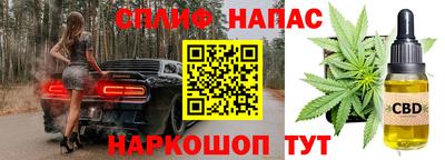 стафф Донецк