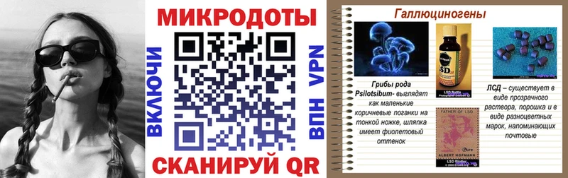 дарнет шоп  Унеча  Галлюциногенные грибы GOLDEN TEACHER 