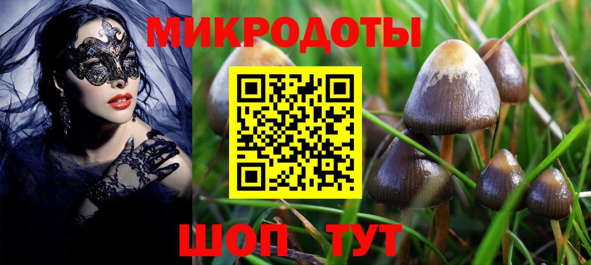 Унеча  Псилоцибиновые грибы Psilocybe  купить наркотик  Вход с VPN 