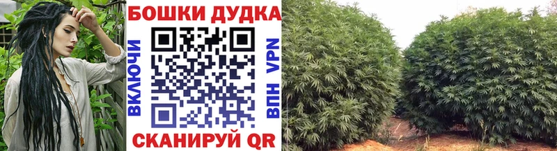 МАРИХУАНА White Widow  цена наркотик  Унеча 